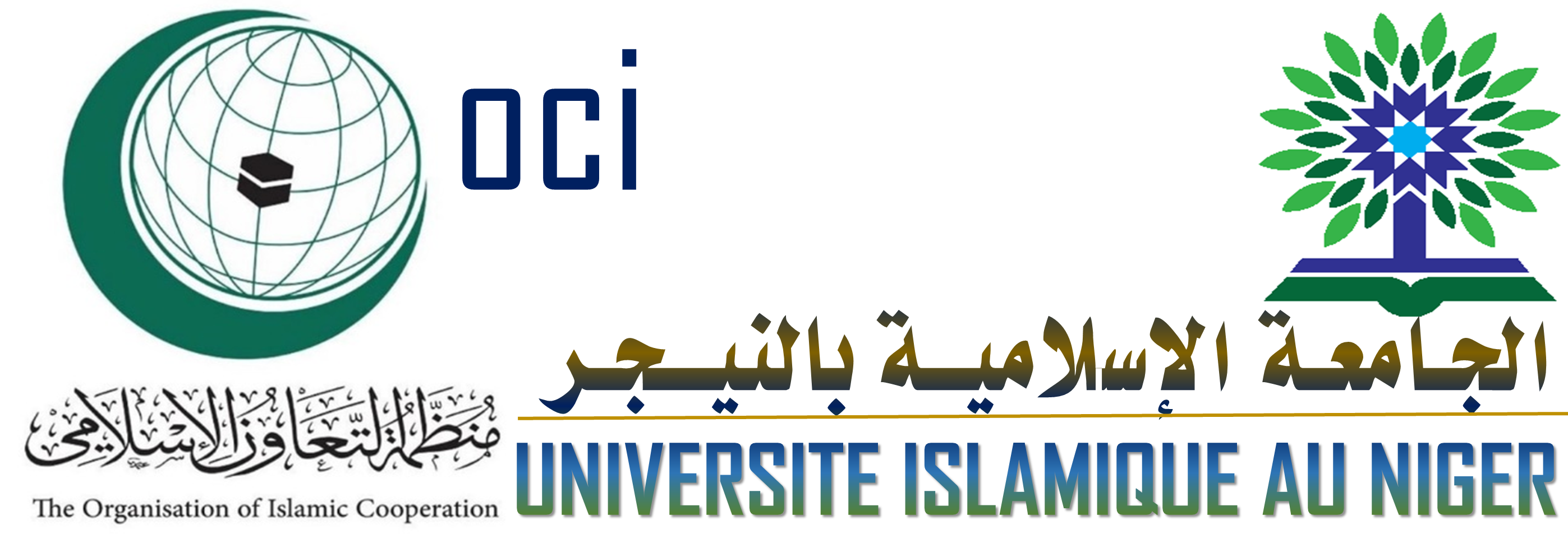 Université Islamique au Niger
